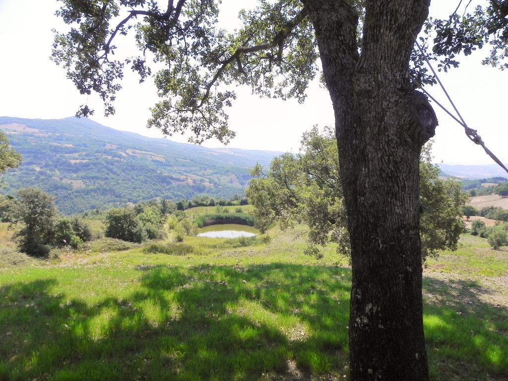 Agriturismo Sugheretello Semproniano Luaran gambar