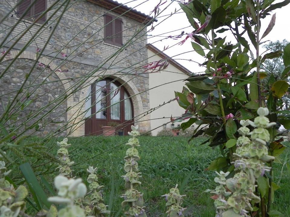 Agriturismo Sugheretello Semproniano Luaran gambar